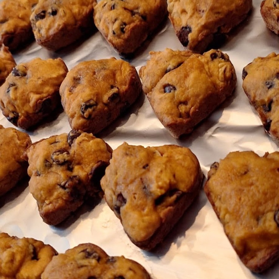 Pumpkin w/ Chocolate Chips